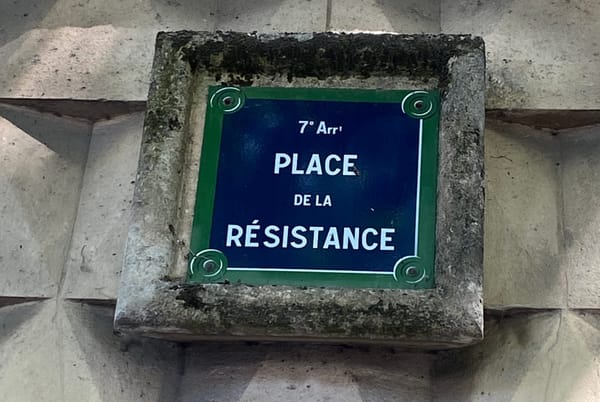 Notes on the Varieties of Resistance