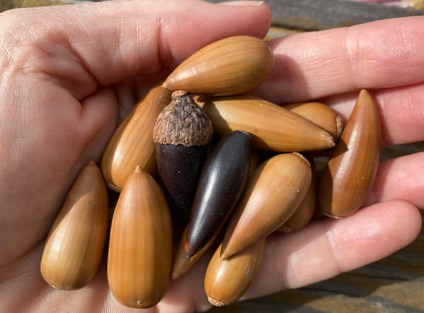 When Love Thy Neighbor Is a Cry of Resistance