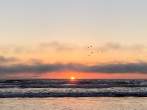 If Fossil Fuels Are War, Renewables Can Bring Peace